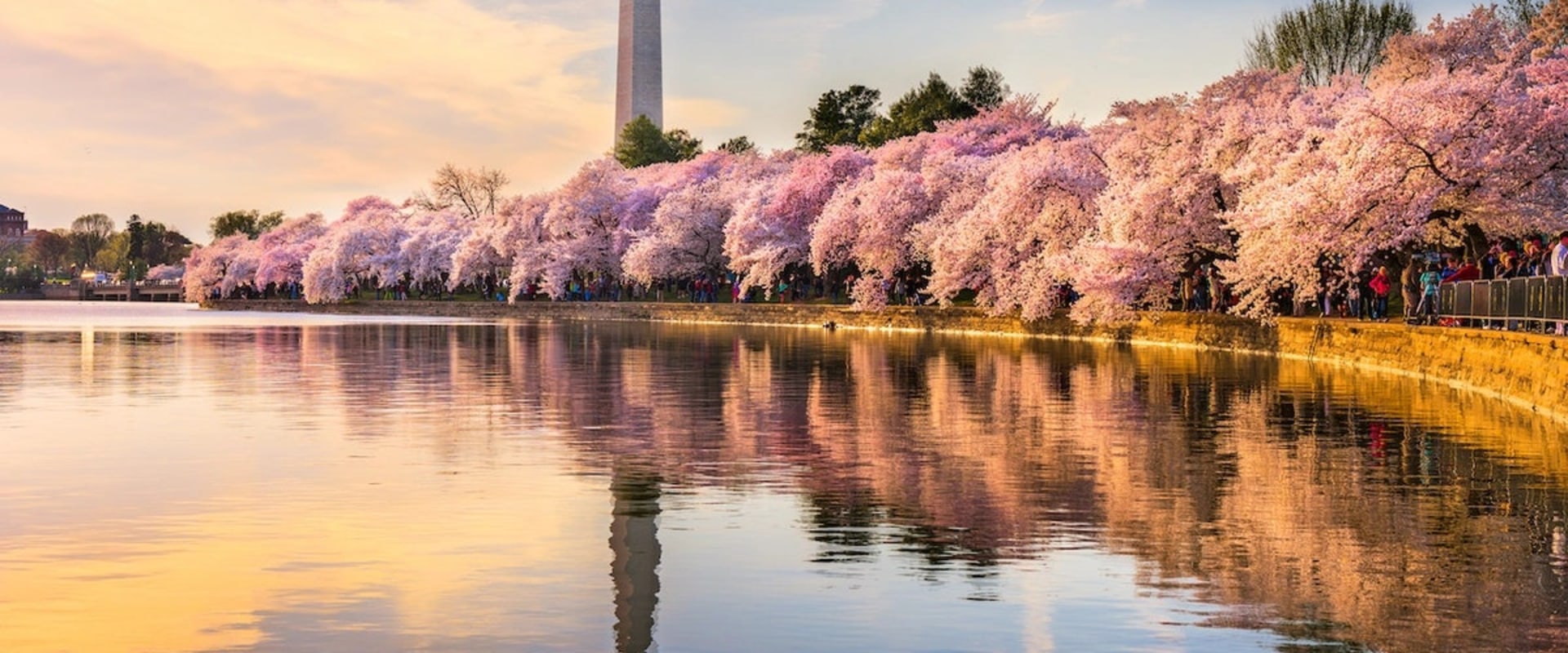 The Ultimate Guide to Cherry Hill Movers: Tips from an Expert
