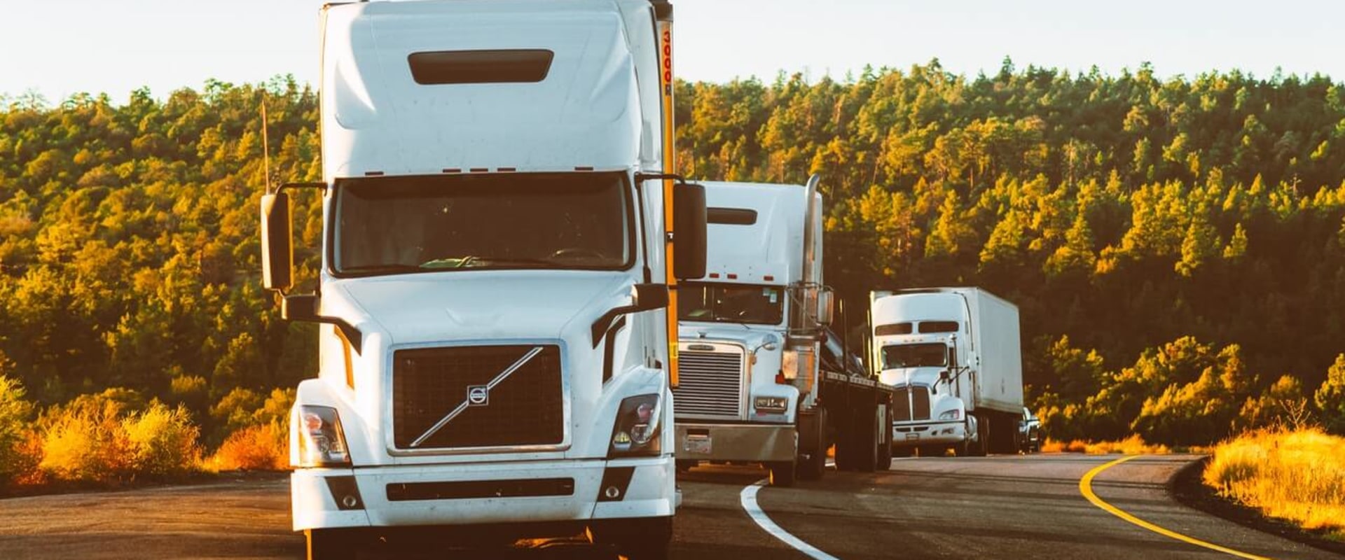 Questions to Ask Auto Transport Companies