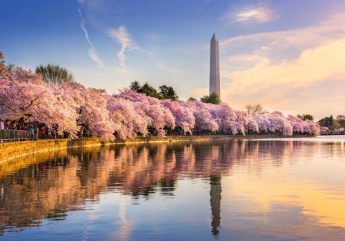 The Ultimate Guide to Cherry Hill Movers: Tips from an Expert